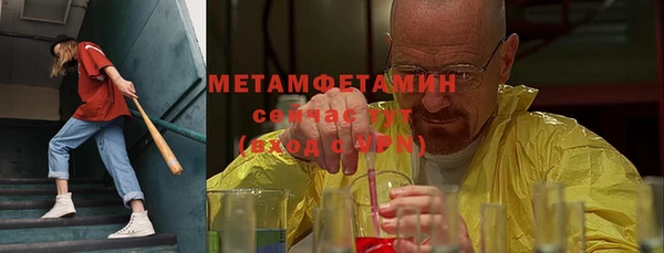 индика Богородск