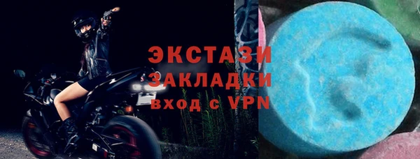 индика Богородск