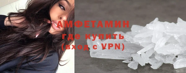 индика Богородск