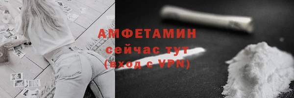 индика Богородск