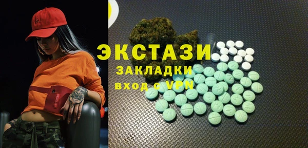 индика Богородск