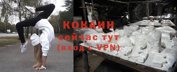 ПСИЛОЦИБИНОВЫЕ ГРИБЫ Белоозёрский