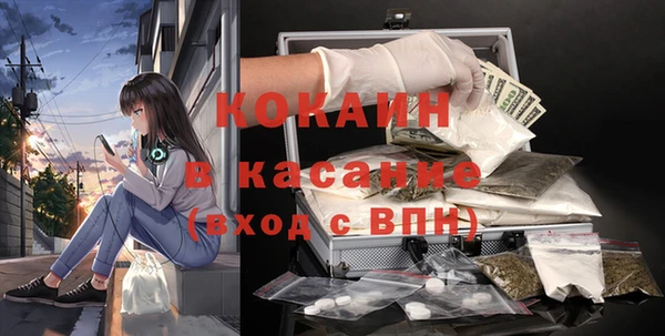 индика Богородск
