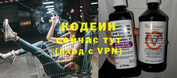 индика Богородск