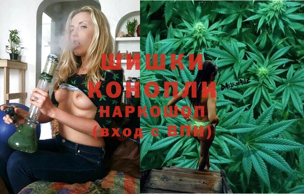 индика Богородск