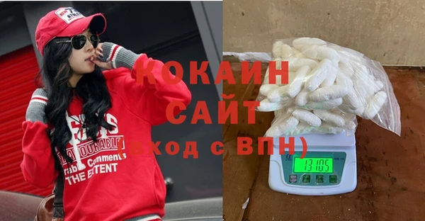 индика Богородск