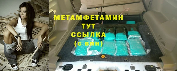 индика Богородск
