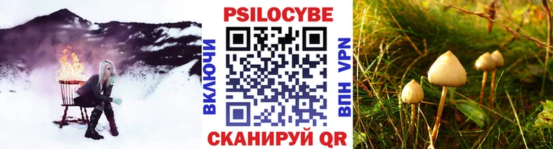Галлюциногенные грибы Cubensis это какой сайт Нижний Тагил